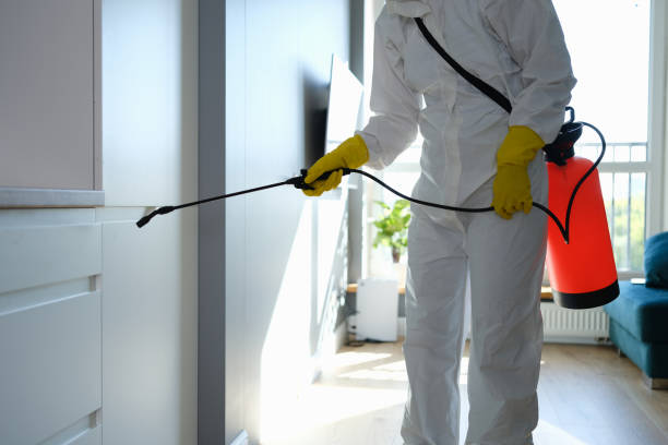 Best Emergency Mold Remediation in Rockwell, AR